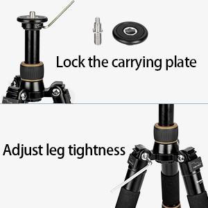 image for this item