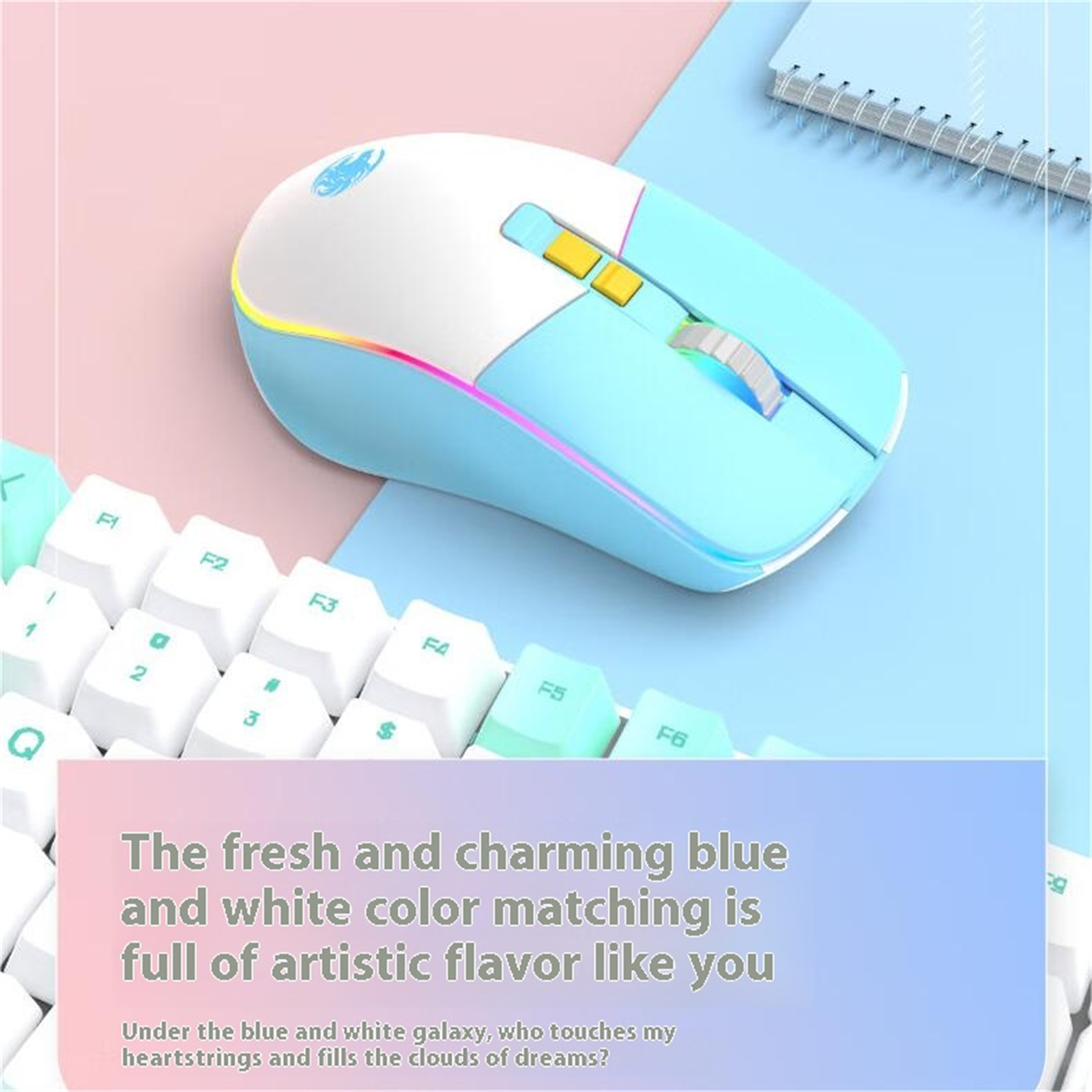 057_QXZ-M_G308_blue white