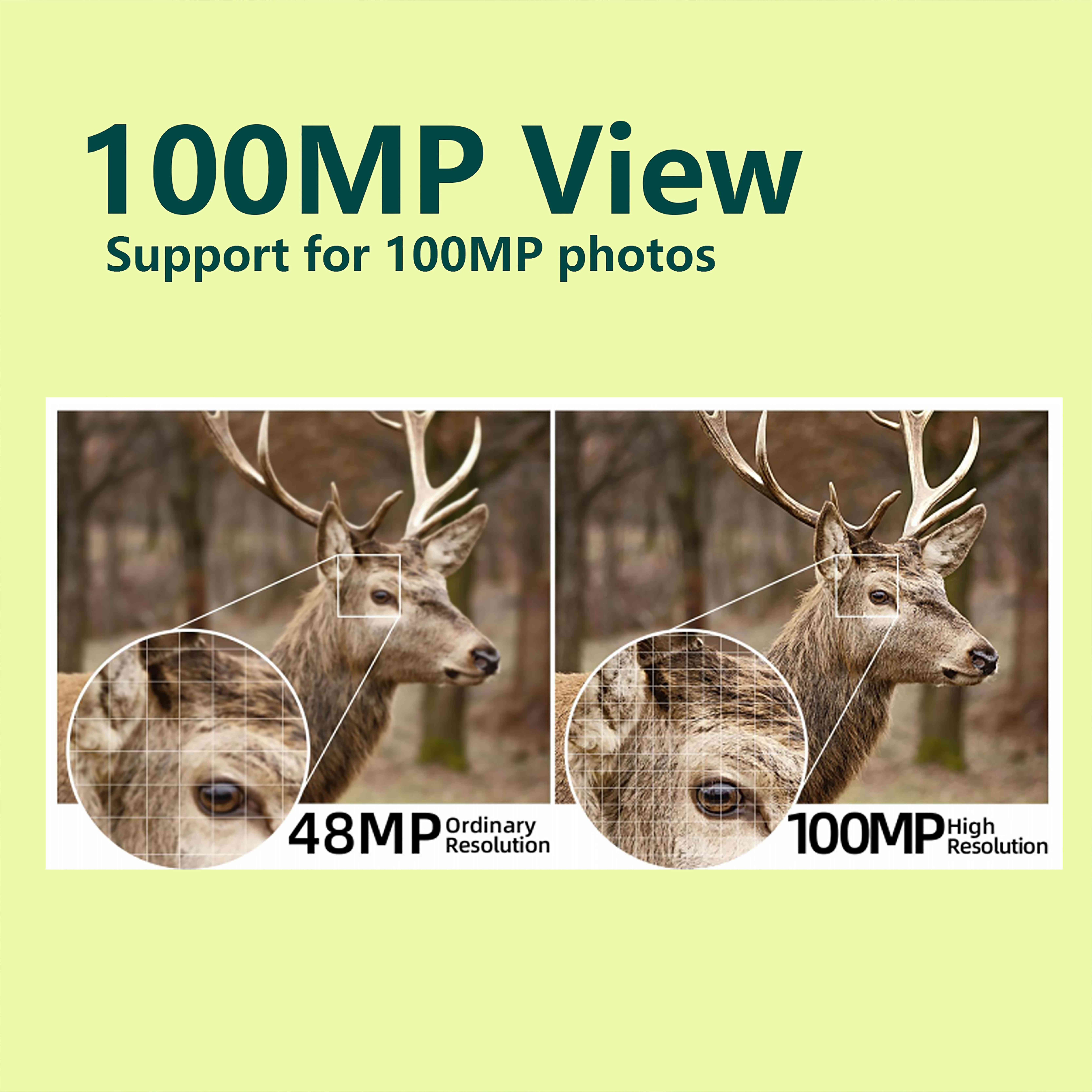 Up to 100MP