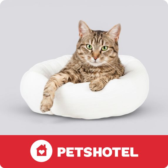 PetSmart E-Gift Card