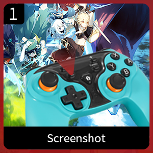 image for this item