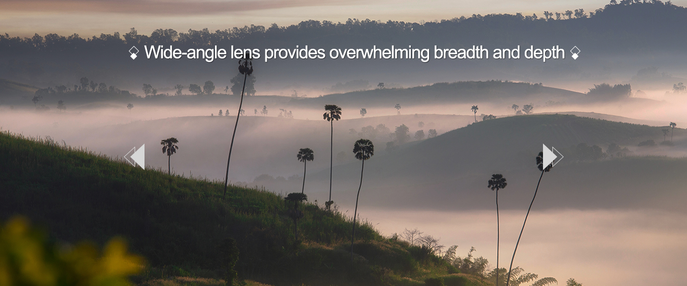 Detachable Wide-Angle Auxiliary Lens