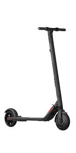 image for this item