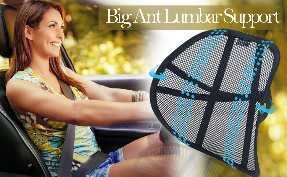 Big Ant Lumbar Support Pillow Back Support for Car Office Chair