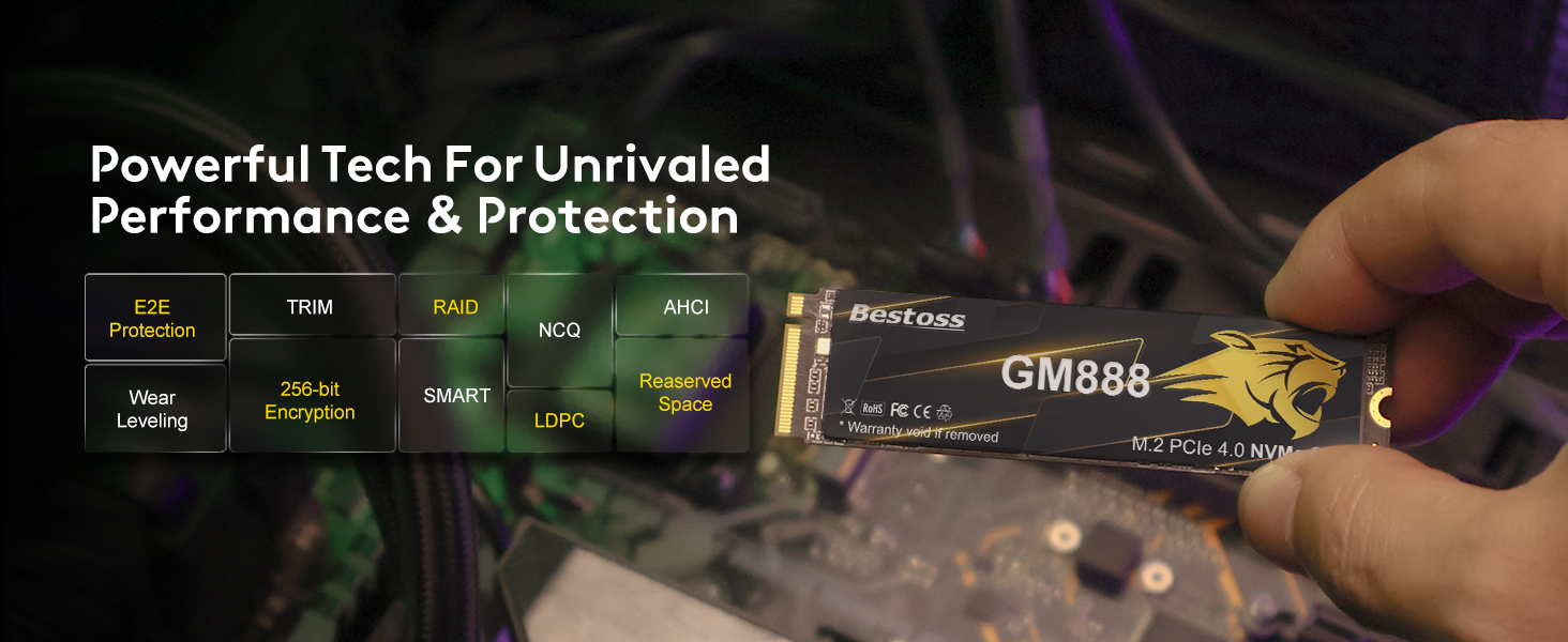 SSD NVME