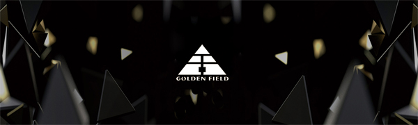 GOLDEN FIELD GPG 80+ Gold 650W Alimentation PC, Modulaire Complet, PFC  Actif, Garantie de 5 Ans pour Boîtier PC : : Informatique