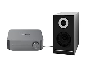 WiiM Amp Multiroom Streaming Amplifier