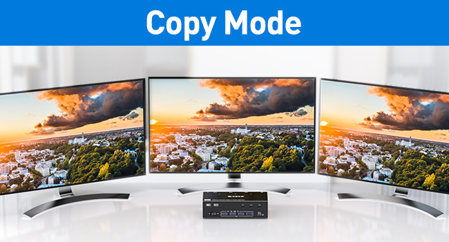 2 Display Model for the Triple Monitors KVM