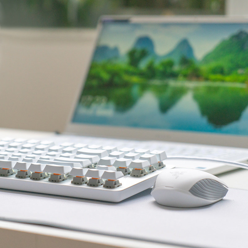 Razer/ Razer Spigot Viper Gaming mouse Atheris Bluetooth wireless dual