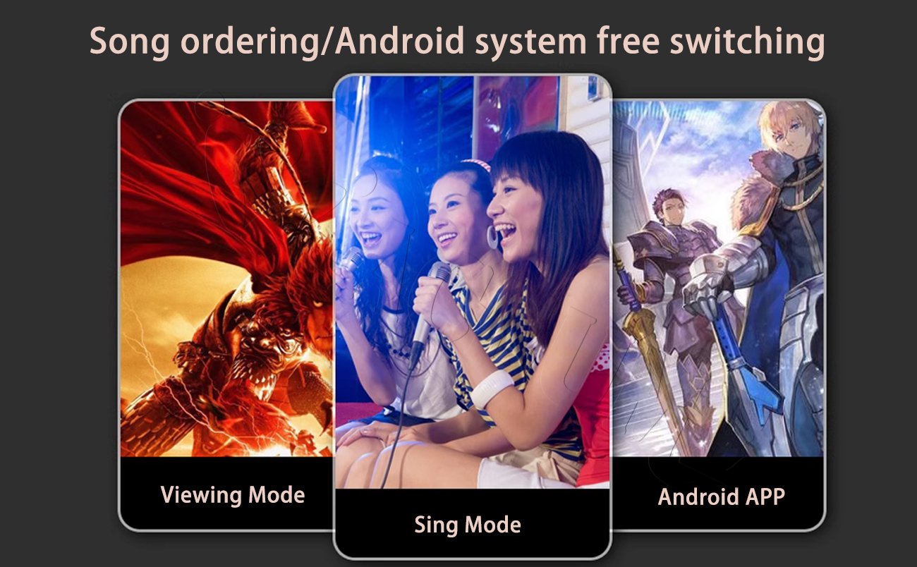 Android Entertainment Dual System