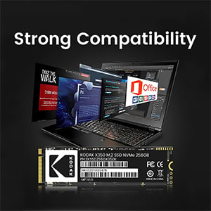 KODAK X350 M.2 2280 SSD 2TB NVMe PCIe Gen 3.0X4 Internal Solid State Drive  (SSD) for PC/Laptop
