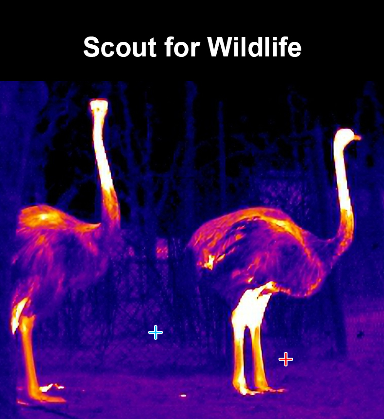 Description of NF-588E