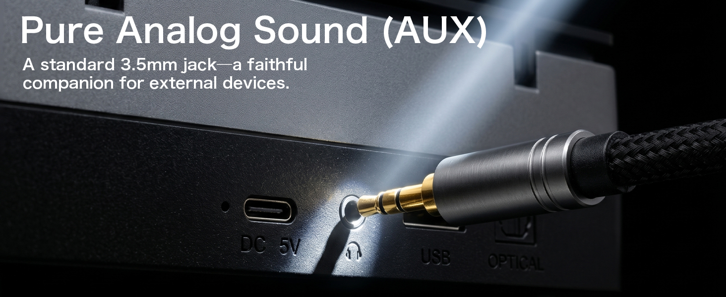 Pure Analog Sound (AUX)