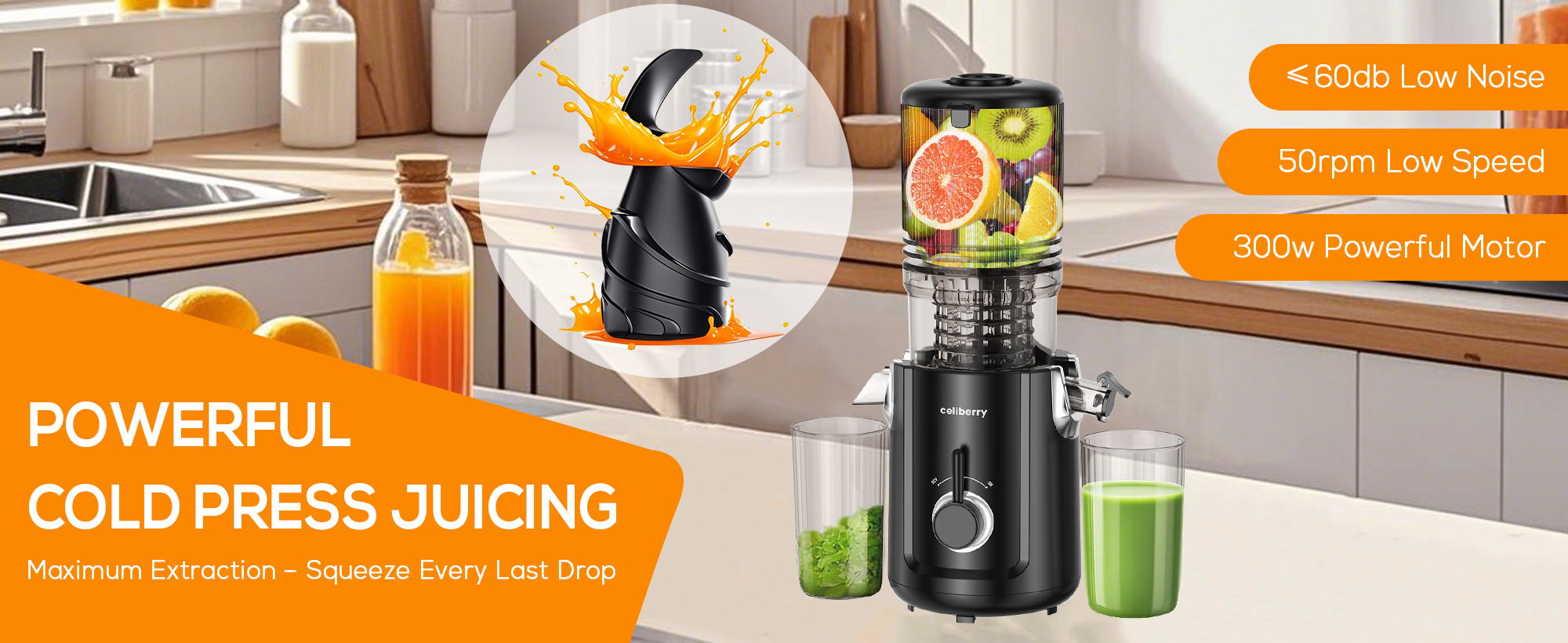 juicer extractor