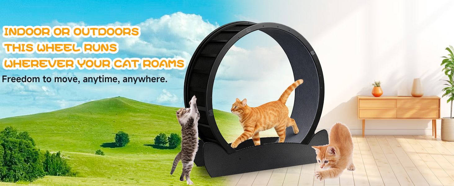 GTPLAYER Cat Wheels