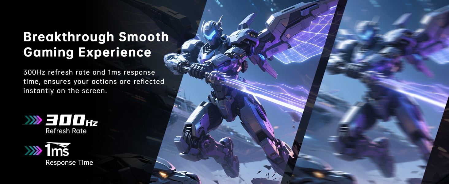 24.5" 300Hz Gaming Monitor