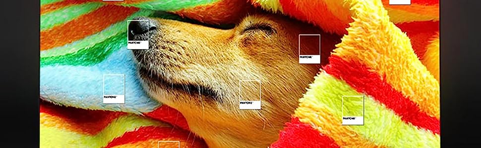 Pantone Validated