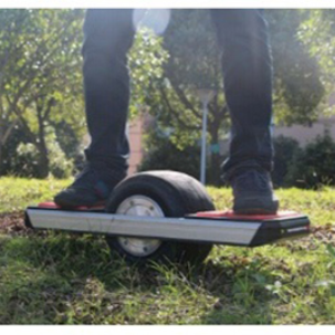 image for this item