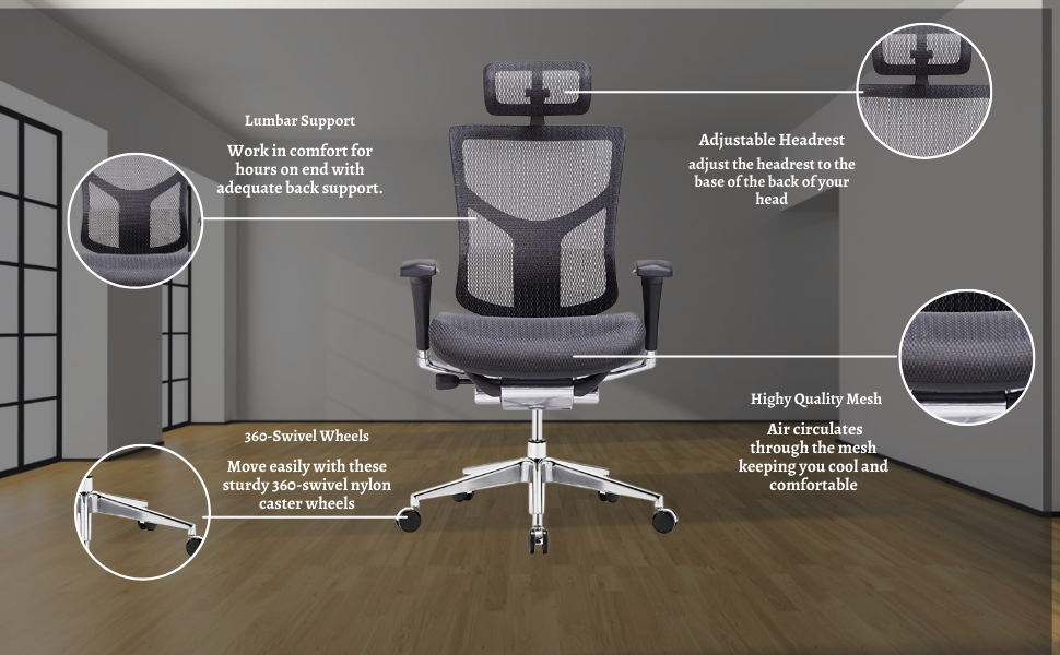 image for this item