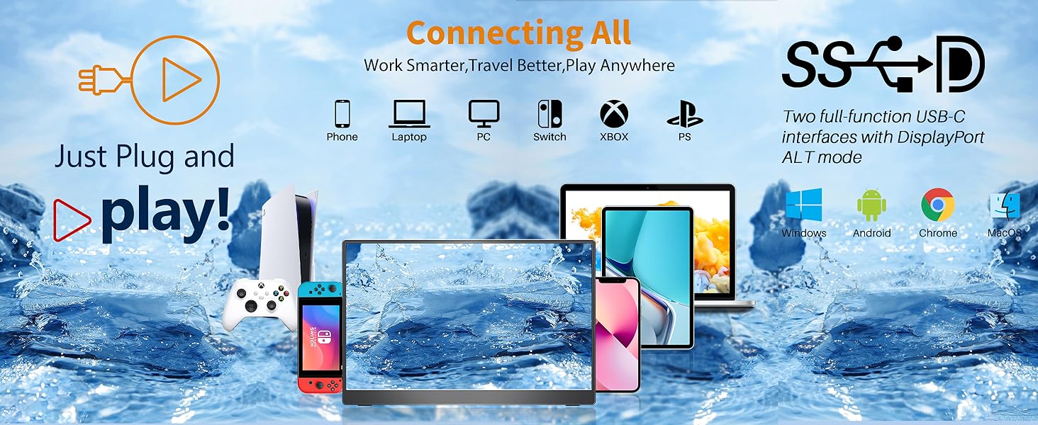 portable monitor