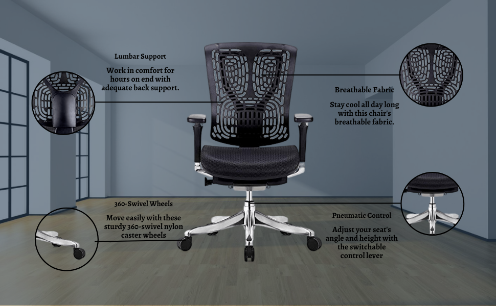 image for this item