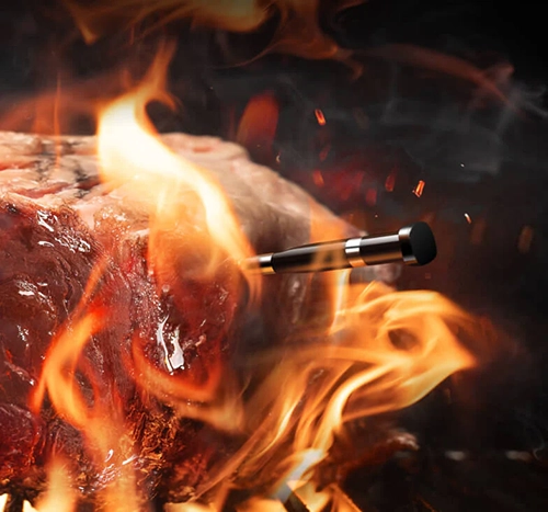 Typhur Sync One Smart Wireless Meat Thermometer