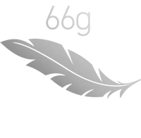 MSI VERSA 300 Wireless Gaming Mouse