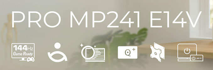 MSI PRO MP241 E14V Computer Monitor