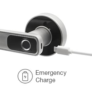image for this item