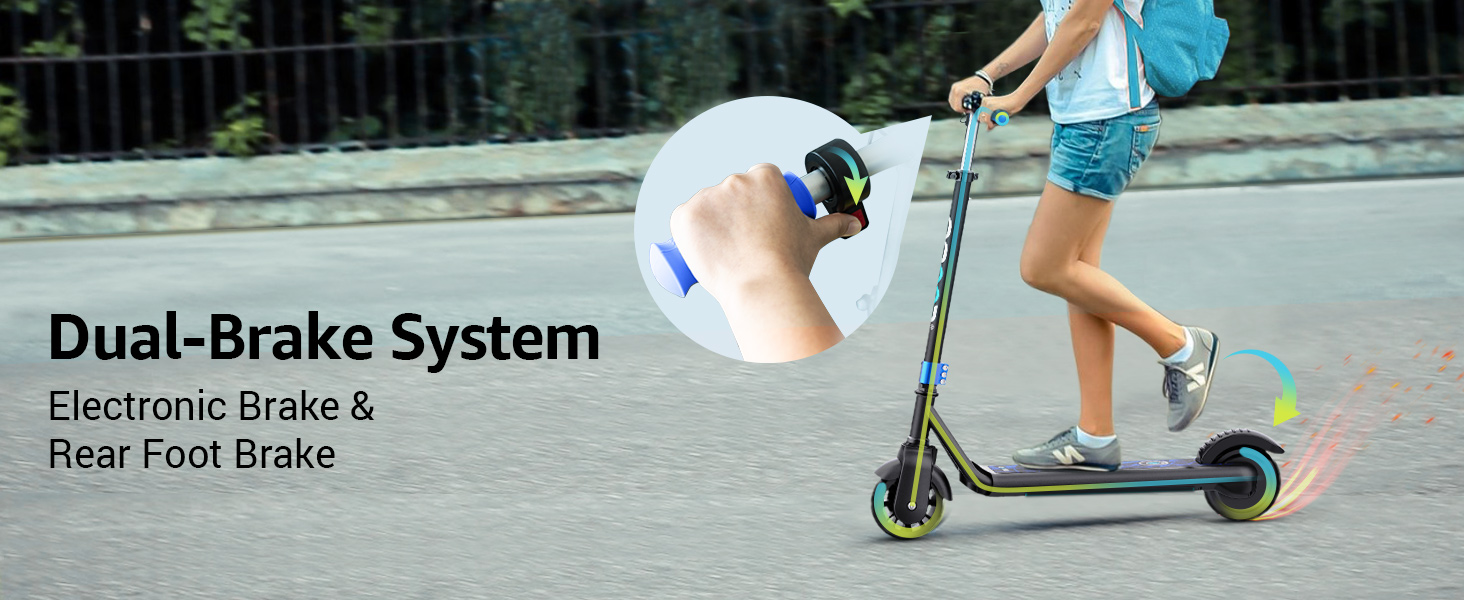 Dual Brake System