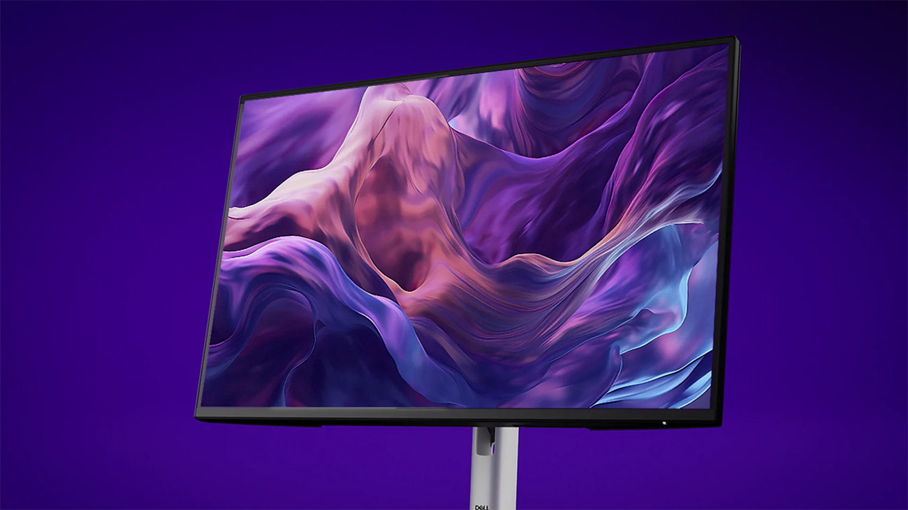 Dell P2425 Pro 24 Plus 16:10 Monitor