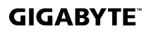 GIGABYTE W775-V10-L01 AI Workstation