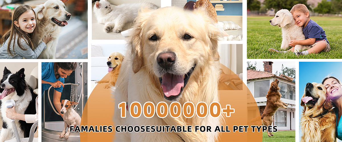 famalies chooesesuitable for all pet types