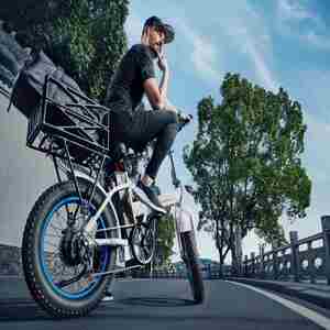 Ecotric folding fat bike