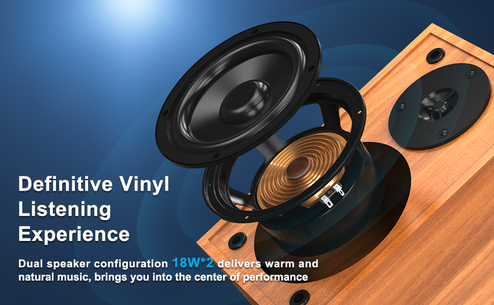 Record Player