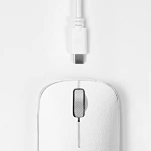 image for this item