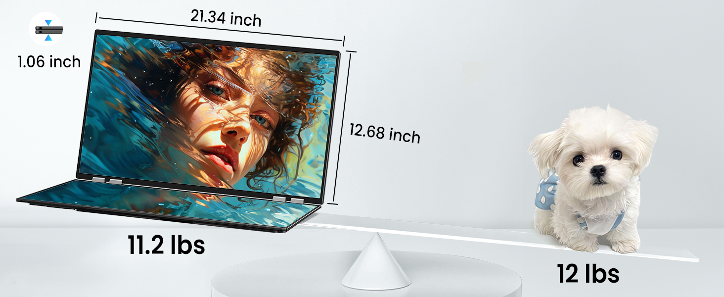 MONITOR