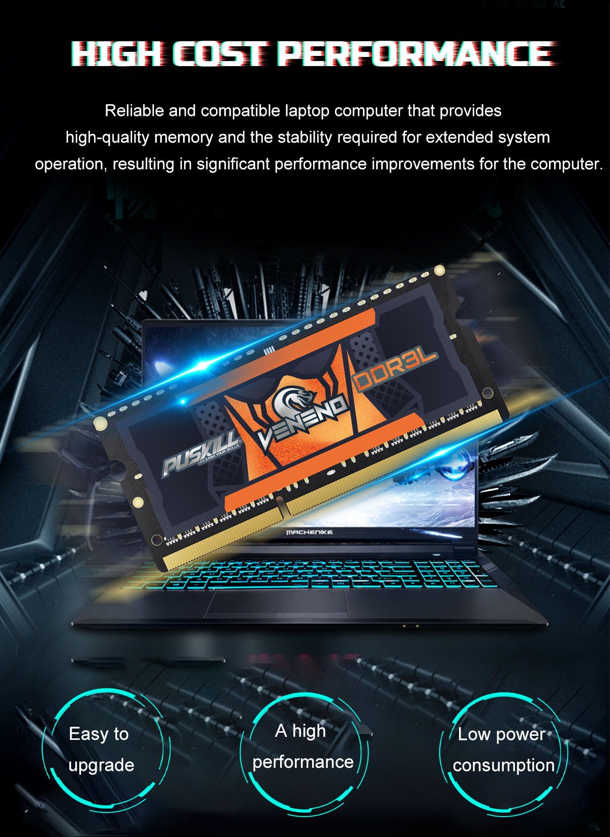 DDR3L Memory RAM