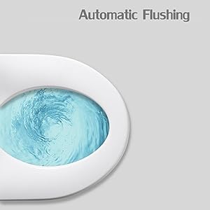 Automatic Flushing