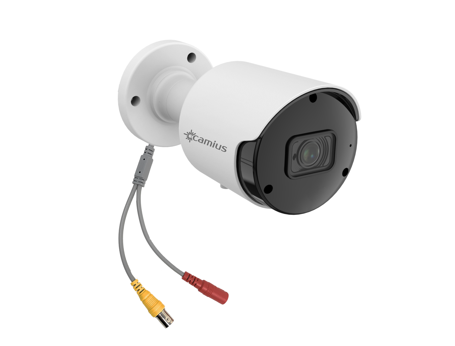 image for this item