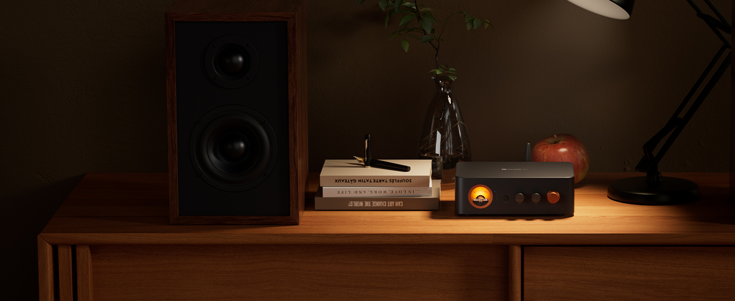 Bluetooth Amplifier