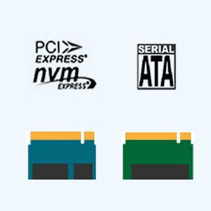 NVMe/SATA Protocol Support