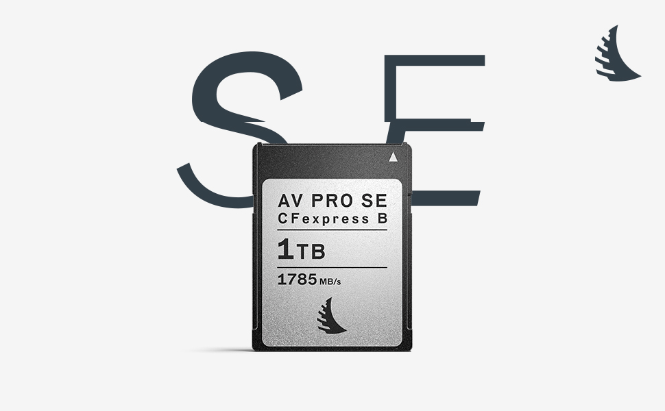 1TB SE