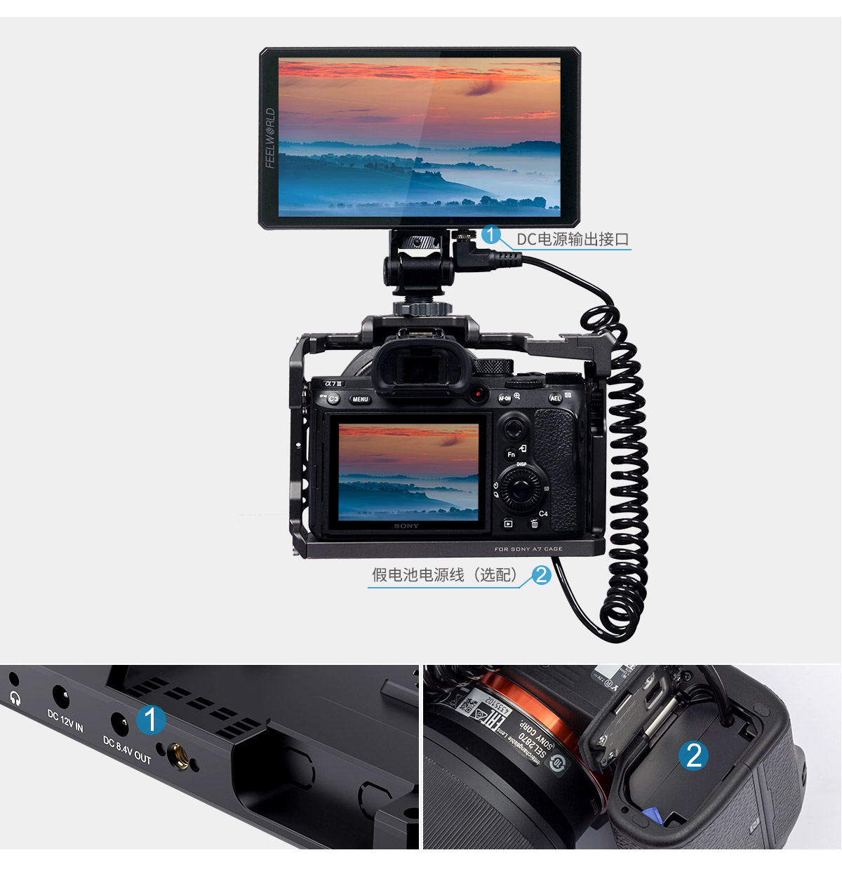 image for this item