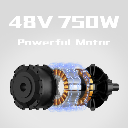 48V 750W High Speed Brushless Motor
