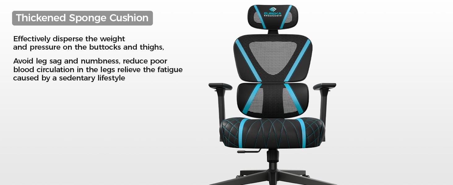 Norn, Ergonomic Chair Blue