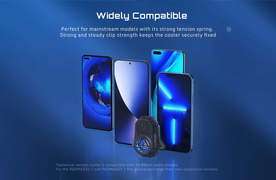 image for this item