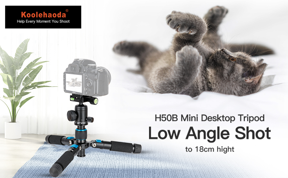 Compact Mini Tripod