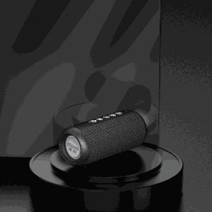 Ortizan X10 Portable Bluetooth Speaker (1st Gen)