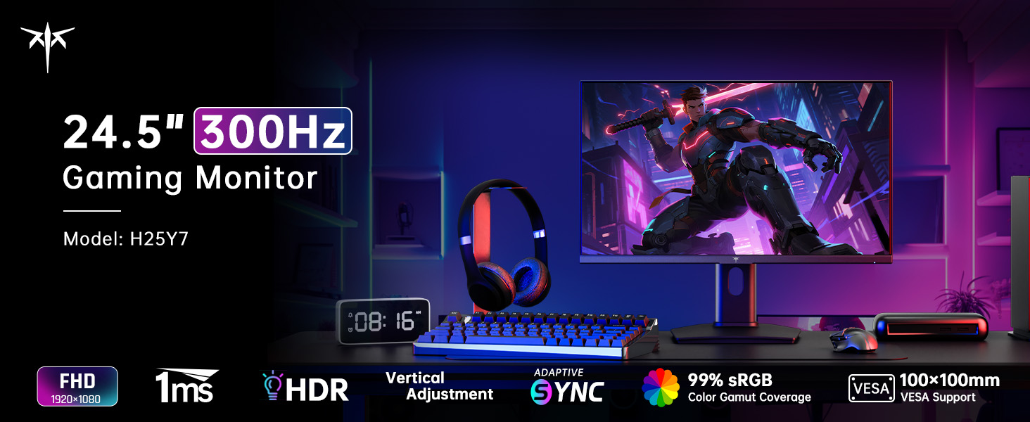24.5" 300Hz Gaming Monitor